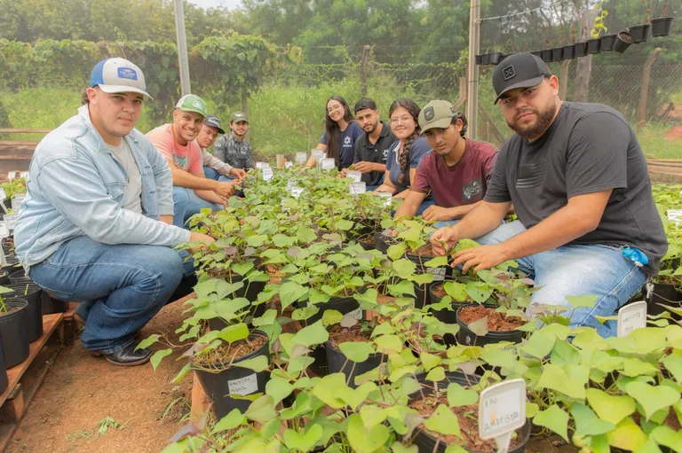 Imagem de Pronatec disponibiliza 240 vagas em cursos gratuitos na Bahia