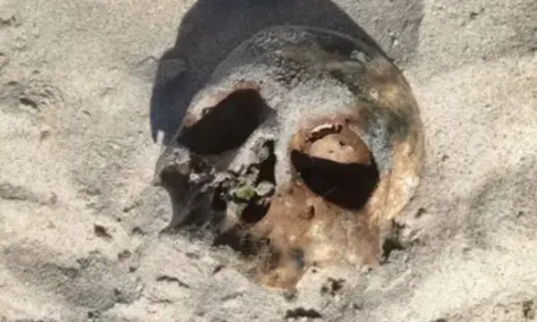 Imagem de Crânio é encontrado na Praia de Itapuã, em Salvador